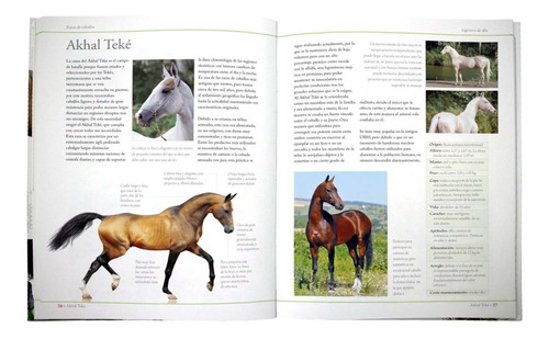 Imagen 3 de 4 de Enciclopedia De Las Razas De Los Caballos