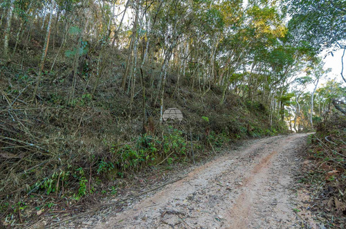 Imagem 21 de 30 de Chácara - Residencial - 936672