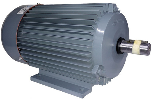 Imagen 3 de 6 de Motor Czerweny Alex Bajo Par 50hz 3000v.2 Polos A90scp2c