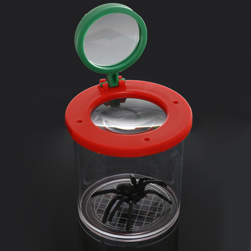 4 Caja De Magnificar Visor De Entomólogos Juguete Para