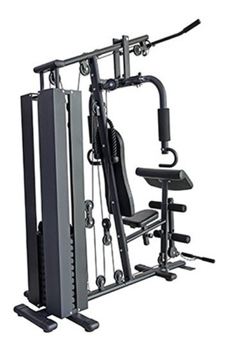 Multigimnasio Multi Gym Con 100kg Pesas Incluidas Lingotera