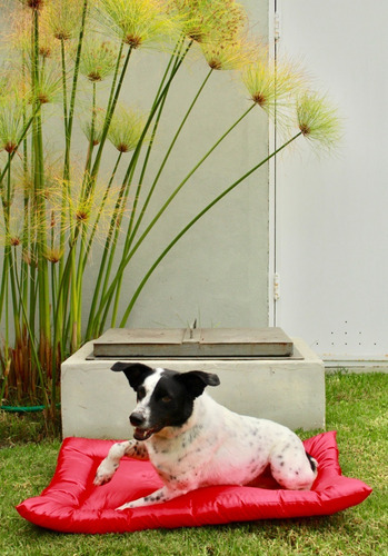 Imagen 3 de 6 de Cama Para Perro O Gato Lola Pets Tapiz Antidesgarro Chico