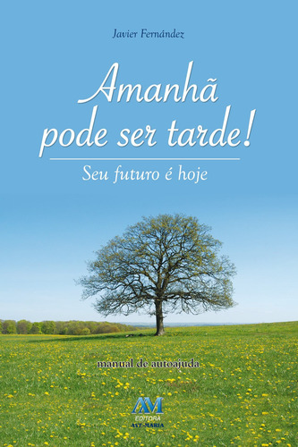 Amanhã pode ser tarde!, de Fernandez, Javier. Editorial Ação Social Claretiana, capa mole em português, 2013