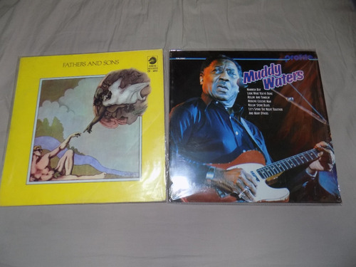 Lps Importados, Blues, Muddy Waters, Buen Estado Rock