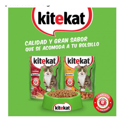 Pack *24 Kitekat Surtidos 70 Gr 