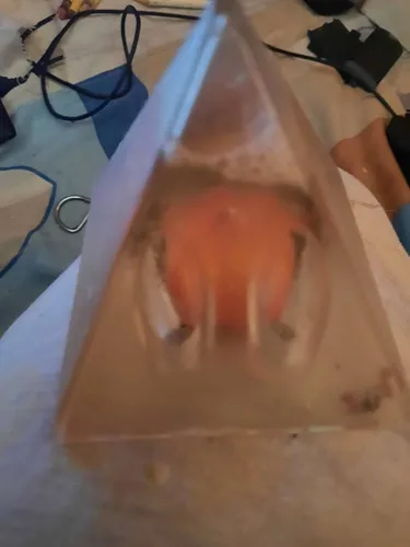 Piramide Mandarina Fenxhui (Usado)