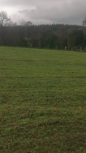 Vendo 9 Hectareas Con Roles De 5000 M2 Chillan Viejo