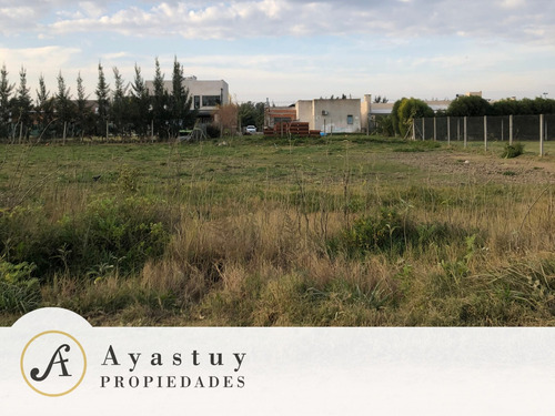 Imagen 1 de 1 de Terreno En Barrio La Dolly 2 - Brandsen
