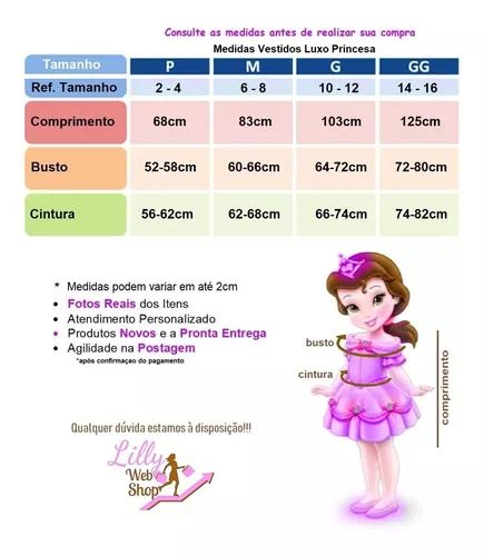 Fantasia Vestido Festa Luxo Princesa Sofia Infantil com Coroa e Luvas 3008  : : Brinquedos e Jogos