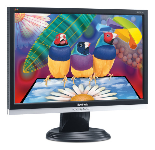 Monitor Viewsonic 17 Pulgadas Usado Vga Con Cables Va1716w Negro (Usado)