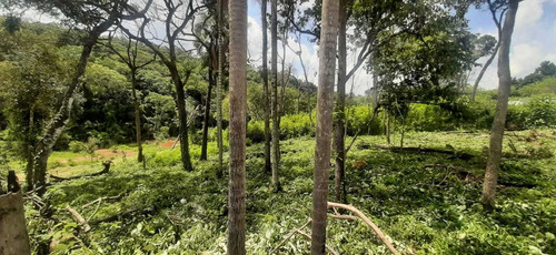 Conheça Nossos Terrenos De 1000m² Em Mairinque