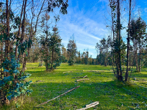 Parcelas A Minutos De Playa Llico (107194)