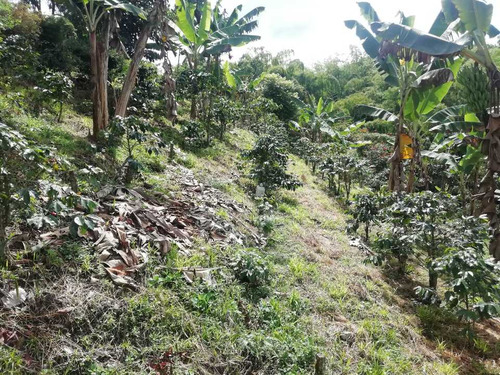 Imagen 15 de 30 de Vendo Finca En Avenida Condina Precio De Oportunidad