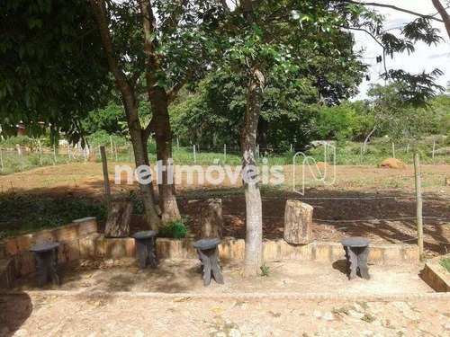 Imagem 14 de 29 de Venda Chácara Zona Rural Conceição Do Pará - 875793