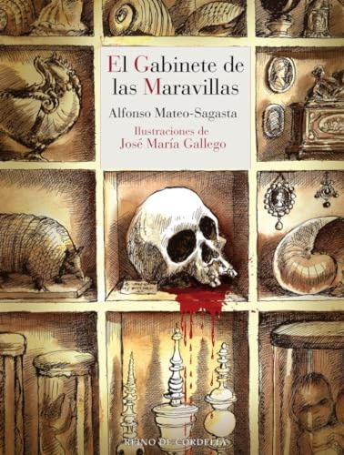 El Gabinete De Las Maravillas - Mateo-sagasta Alfonso