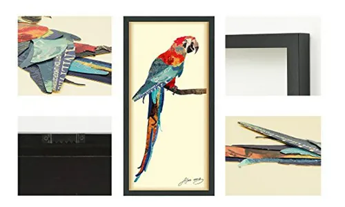 Empire Art Direct Tropical Parrot Dimensional