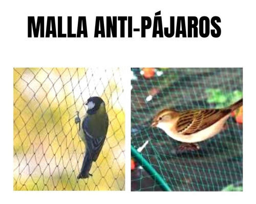 Malla Importada Antipajaros Excelente Calidad En Cuenca