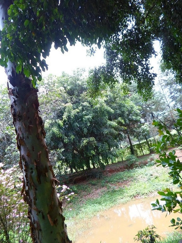 Imagem 1 de 6 de Terreno Chácara Em Socorro - Ch711259v