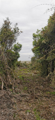 Sitios En Venta En Hualaihue