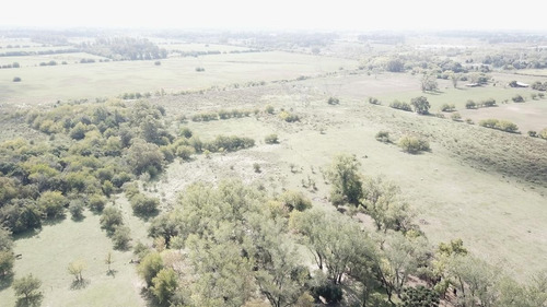 Imagen 9 de 17 de Campo - Fátima Estacion Empalme