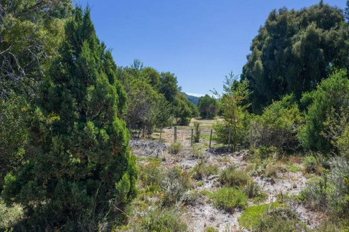 Imagen 7 de 10 de Venta Lote 2500 M2 En Peninsula - Meliquina Fraccion Iv
