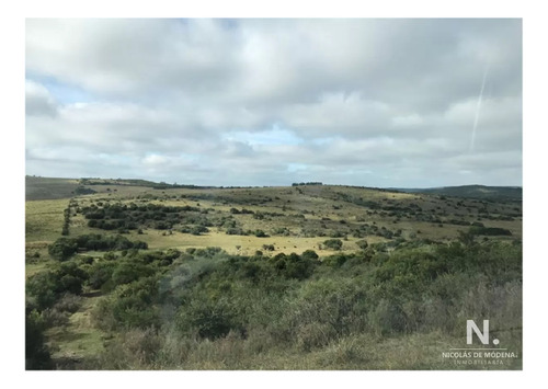En Venta Campo Criador En Montevideo - Treinta Y Tres.