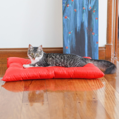 Imagen 4 de 6 de Cama Para Perro O Gato Lola Pets Tapiz Antidesgarro Chico