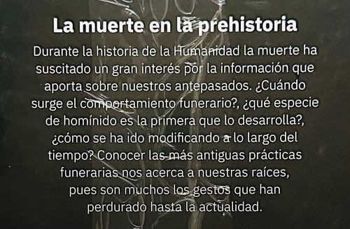 Colección Evolución Humana N° 40 La Muerte En La Prehistoria