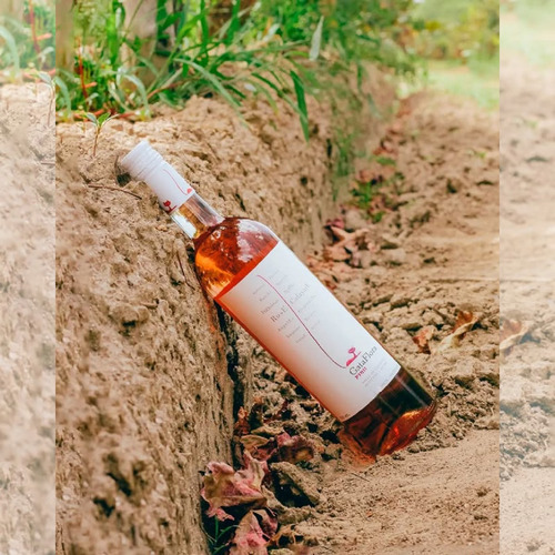 Vino Gata Flora Pink Rose 6x750 Ml-bod Vasija Secreta