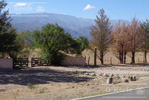 Campo En Venta De 300 Has Santa Maria, Catamarca