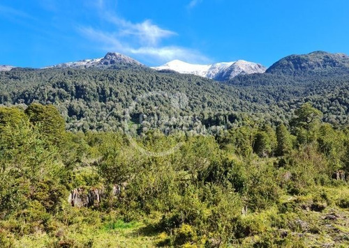 Imagen 13 de 15 de Aysen Rio Cóndor, Naturaleza 100%