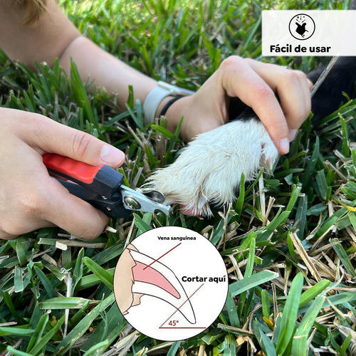 Cortador De Uñas Con Lima Para Perros O Gatos