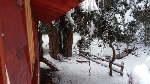 Alquiler De Cabaña En Bariloche, En Hermoso Bosque