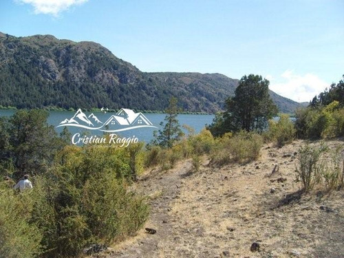 Imagen 19 de 30 de Terrenos De 1/2 Ha C/75 M Costa Lago Pellegrini Sobra Ruta En Cholila