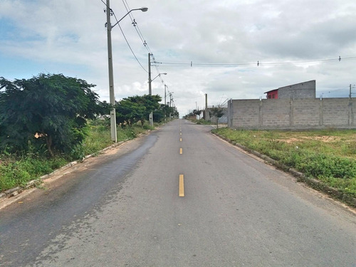 Imagem 4 de 4 de Terreno Para Vender Com 1 Quartos, 0m² - Registro - 59037