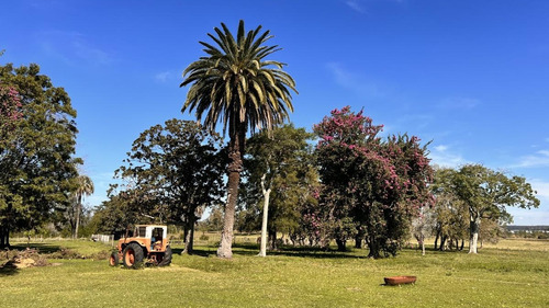Imagen 20 de 30 de Campo Sobre Autopista Ruta 14 Colón Entre Ríos