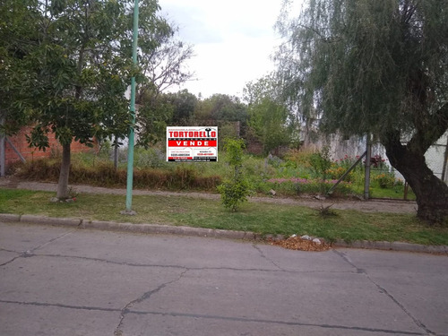 Terreno En Venta En San Antonio De Padua