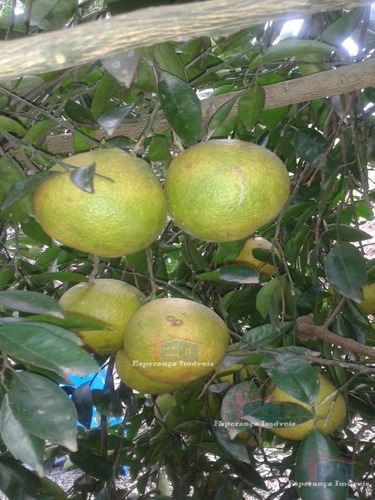 Imagem 8 de 15 de Ref.: 5531 - Chacaras Em Mairinque Para Venda - V5531
