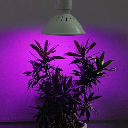 Imagen 5 de 7 de Ampolleta E27 Grow 200 Led Full Spectrum Cultivo Indoor