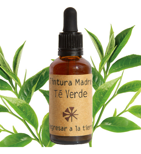 Tintura Madre De Té Verde 50ml Detox, Antiinflamatoria, Piel