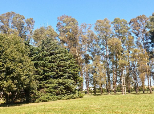 Imagen 5 de 12 de Chacra - El Argentino Farm Club