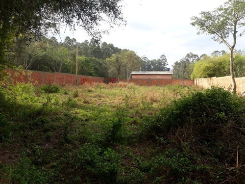 Imagem 3 de 7 de Terreno - Te00036 - 32893250