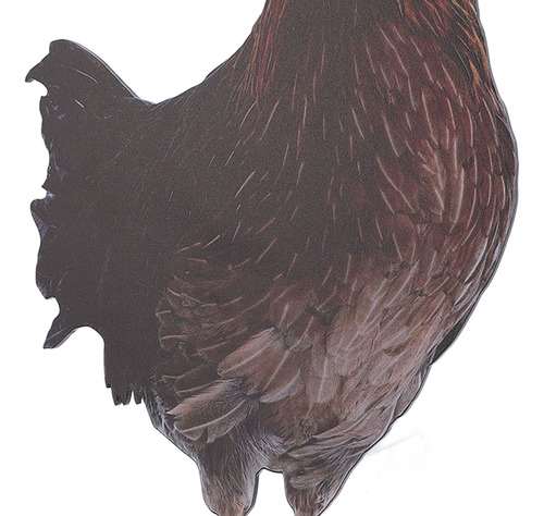 Estacas De Gallina Para Decoración De Gallinas, 4 Unidades,