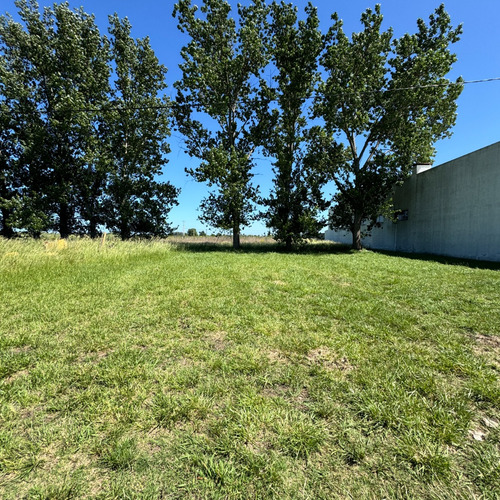Gran Lote 4.540 M² Sobre Ruta 205 En Saladillo