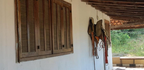 Fazenda Para Venda Em Funilândia, Cambauba, 3 Dormitórios, 1 Banheiro - T10_1-989952