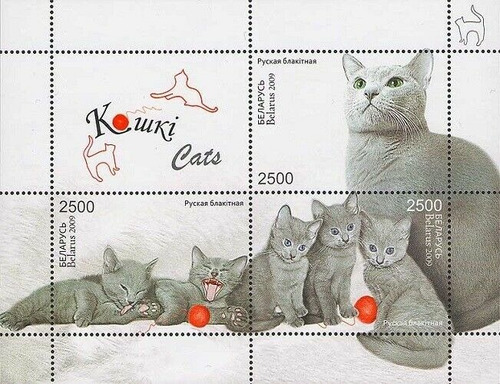2009 Animales Domésticos- Gatos- Bielorrusia (bloque) - Mnh 