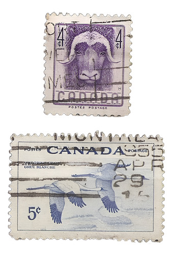 Canada Yv 279/0 Preservación Fauna Serie Año 1955 (Usado)