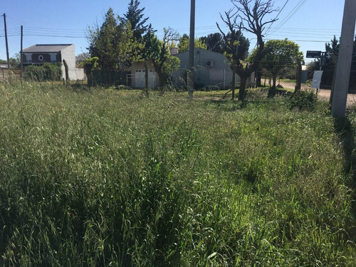 Imagen 8 de 21 de Galpón De 800 M2 Agustín Álvarez 4100 (sector Scania U$s 180.000)