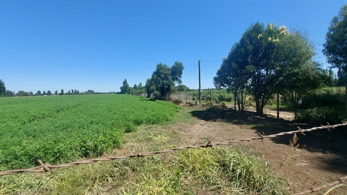 18 Hec Oportunidad Se Vende Terreno Agrícola Retiro Talca