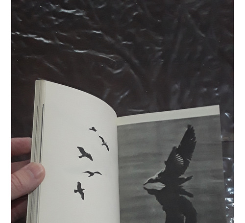 Libro Juan Salvador Gaviota (Usado)